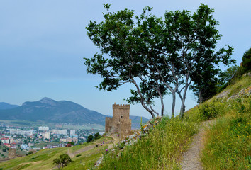 The path leads ever higher up the hill, towards the tower of the ancient castle