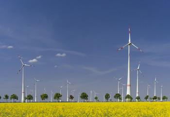 Windenergie Park mit bl&uuml;hendem Rapsfeld