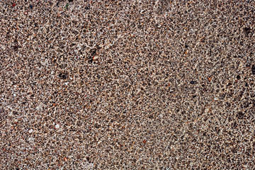 Sand with pebbles. Natural texture of sand with stones. Small plants on the sand.