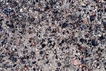 Sand with pebbles. Natural texture of sand with stones. Small plants on the sand.