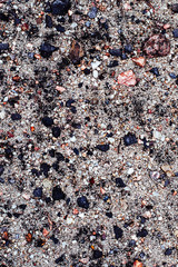 Sand with pebbles. Natural texture of sand with stones. Small plants on the sand.