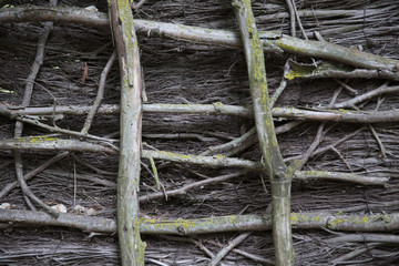 wooden vines hatch trellis
