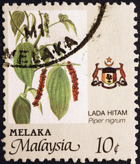 Black pepper plant on postage stamp of Malaysia