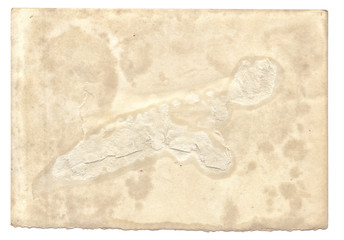 Old photo paper texture with stains and scratches