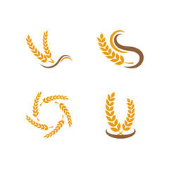 Grain logo design template