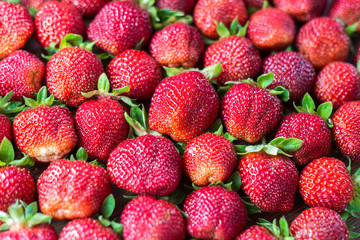 Beautiful fresh and juicy strawberries. Real fruit. Ripe strawberry texture
