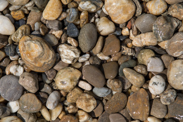 Bunte nasse runde Kieselsteine