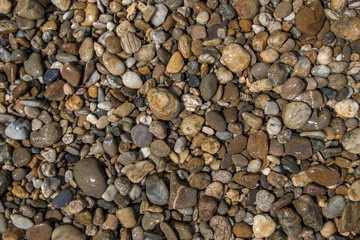 Bunte nasse runde Kieselsteine