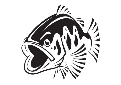 graphic bass fish , vector