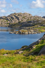 Fototapeta na wymiar Sheep are grazed on the stony bank of the gulf in the Egersund region, Jaeren national scenic route, Norway