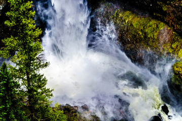 Fototapeta na wymiar Water from the Spahats Creek cascading down to the bottom of Spahats Falls in Wells Gray Provincial Park at Clearwater British Columbia, Canada 