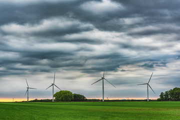 Picture of wind farm generators in the green field.