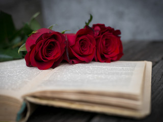 Розы со старой книгой