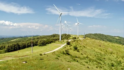 Aerial panorama of a wind farm. Flying to the windmills, wind turbines, over a herd of cattle grazing in green meadow