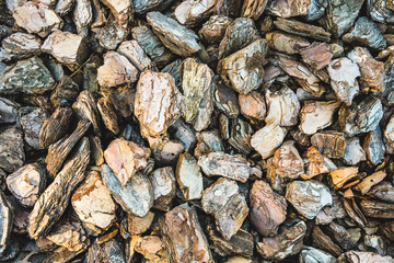 Tree crushed bark texture. Wooden  pattern background