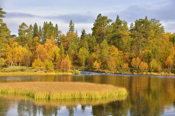 Fototapeta na wymiar Rogen Naturreservat in Schweden 