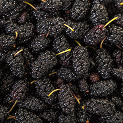 texture of fresh mulberry