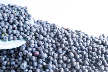 Forest blueberries on a plate on a white background close up, top view.