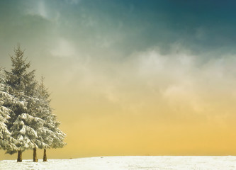 winter background with trees and snow and vintage filter effect
