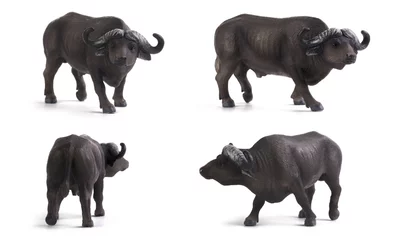 Tuinposter Afrikaanse buffel © TheFarAwayKingdom