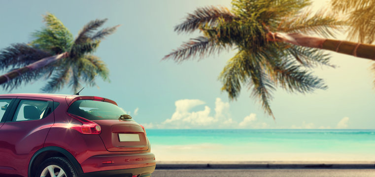 Fototapeta Summer car and background of palms and sea. 