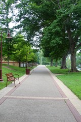 The long sidewalk in the park though the summer trees.
