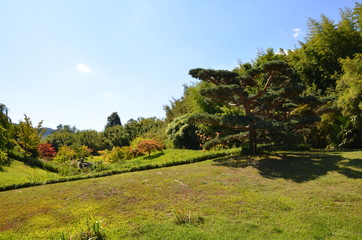 Bambouseraie garden in Anduze city