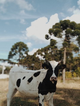 Processed with VSCO with m5 preset