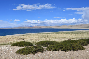 Тибет, священное озеро Манасаровар в солнечный летний день