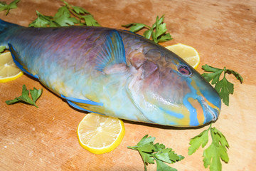 multi-colored raw fish parrot blue tropical bright on a wooden background with green lemon ice useful food exotic