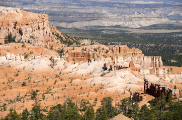 landscape on the bryce canyon in the united states of america