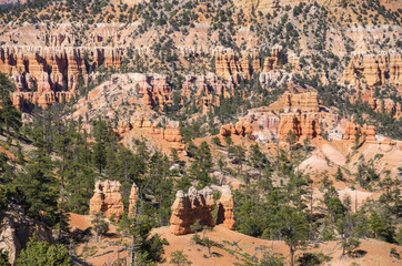 landscape on the bryce canyon in the united states of america