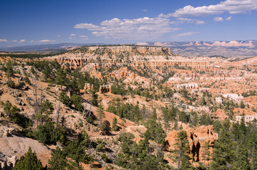 landscape on the bryce canyon in the united states of america