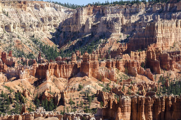 landscape on the bryce canyon in the united states of america