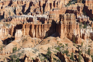 landscape on the bryce canyon in the united states of america