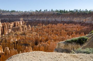 landscape on the bryce canyon in the united states of america