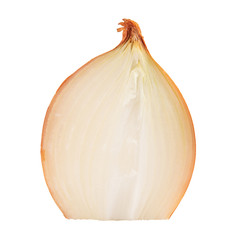 Onion bulb isolated. Onion slice on white background