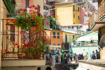 Fototapeta premium The Town of Manarola, builded on the Cliff in a Summer Day