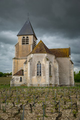 Vineyard and St Claire church in the Chablis region of Burgundy, France