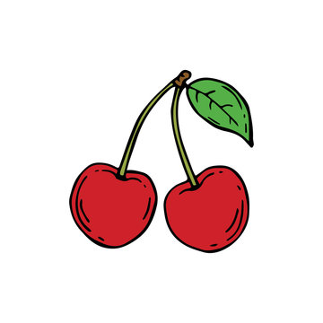 two vector red cherries with green leaf isolated at white background