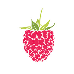 Hand drawn raspberries icon.