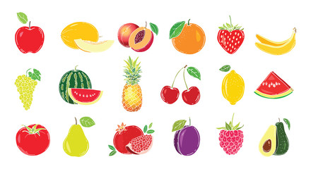 Set of fruits. Vector illustration. Hand drawn