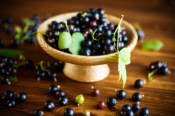 ripe berries black currants