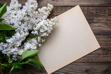 White Terry Persian lilac and a sheet of paper on a wooden background