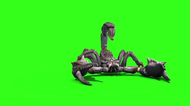 Animal Scorpio Attack Loop Front Green Screen 3D Rendering