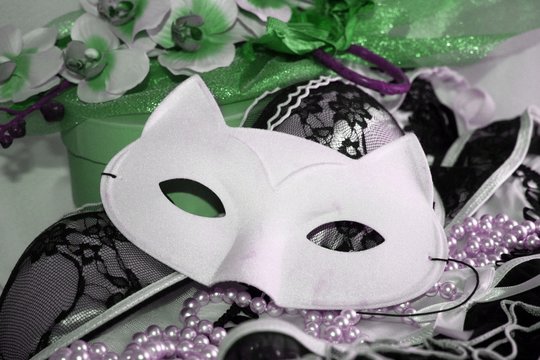 Cat white eyemask with lace and beads and green floral decoration, glamour seductive expression.
