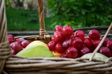 Fresh summer juicy fruit. Colorful home harvest of apples, pears and grapes in a wicker basket made from vine. All in a heap in one place in the open air outdoors on the street