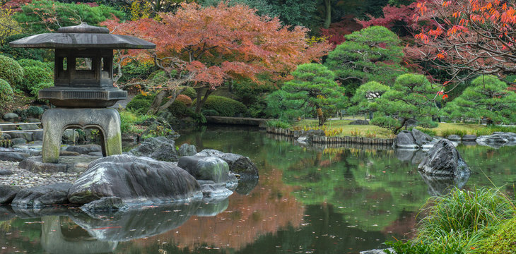 Fototapeta Japanese garden in Tokyo