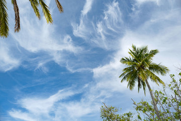 Obraz premium Summer concept , Beach white sand and turquoise sea color at maldives on the weekend holidays