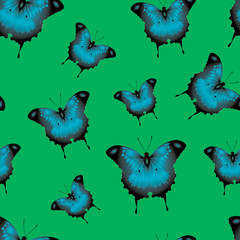 beautiful blue butterflies on a green background